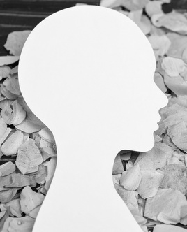 future mentor profile 2